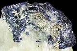 Large Lazurite Crystals in Calcite Matrix - Afghanistan #111801-2